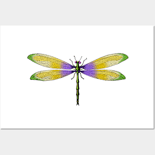 Dragonfly Posters and Art